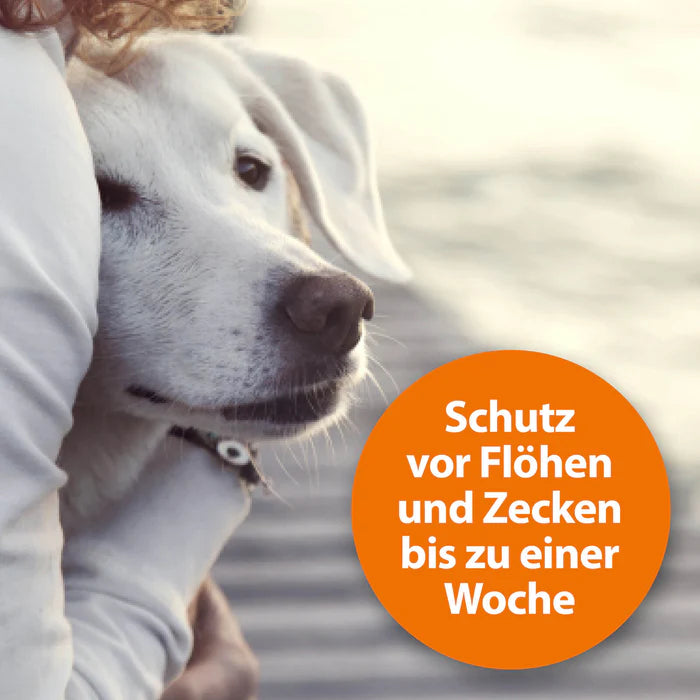 ARDAP Flohspray 250 ml – Pflegespray zur Anwendung am Tier