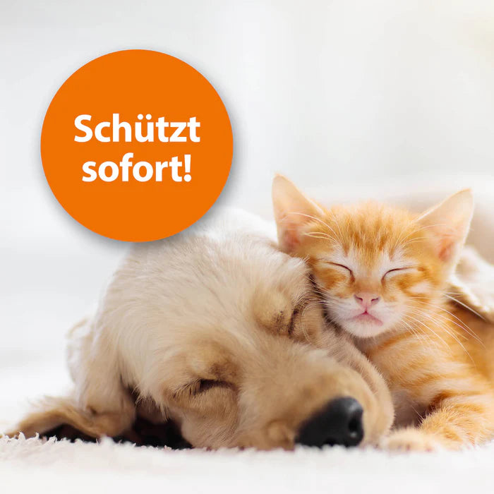 ARDAP Flohspray 250 ml – Pflegespray zur Anwendung am Tier